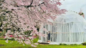 Flowerhaven - glamping dome
